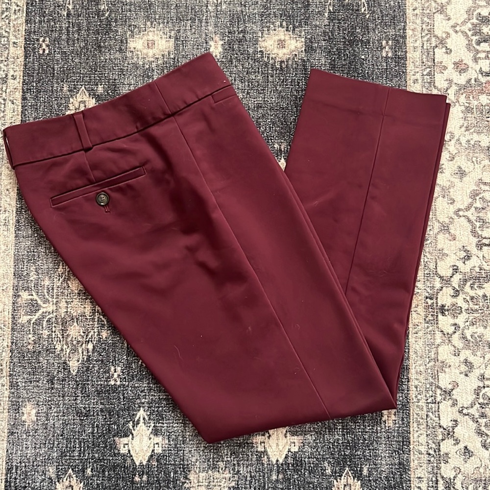 Loft Zoe pants